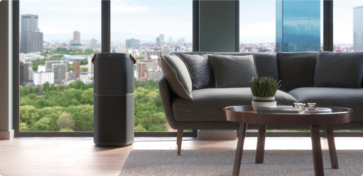 Häufige Fragen zu Smog-Luftreinigern