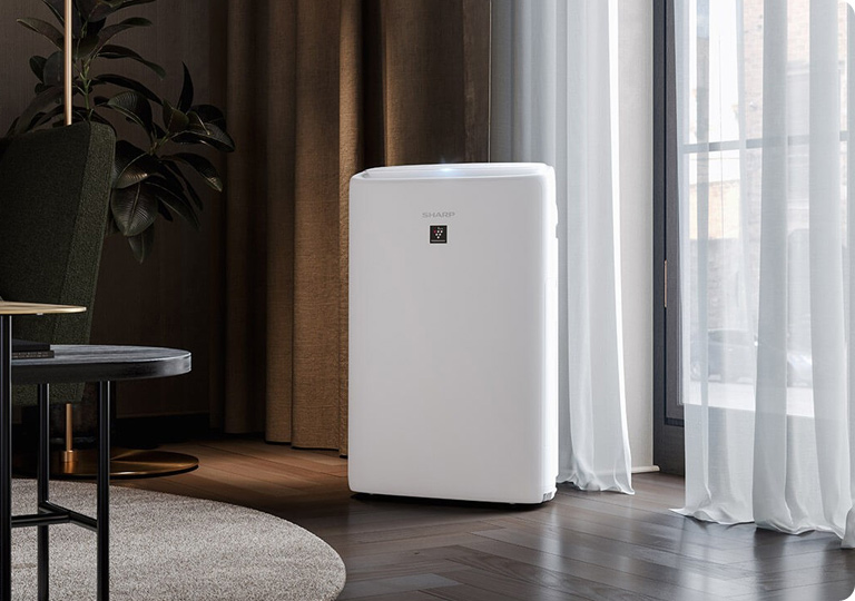 Auswahl eines Luftreinigers gegen Smog