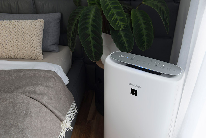 Sharp UA-KIN52E-W Luftreiniger