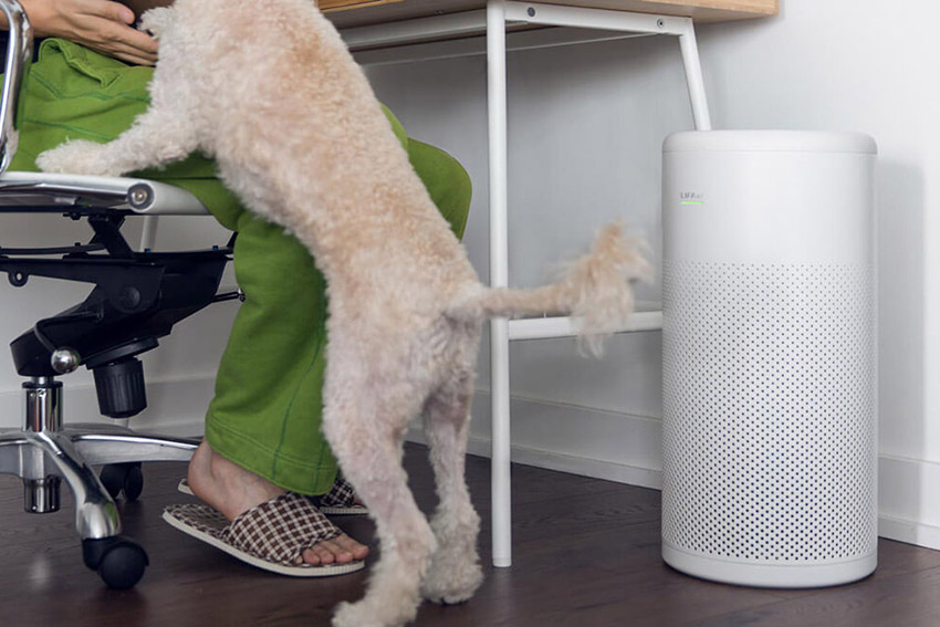 Luftreiniger LIFAair LA333