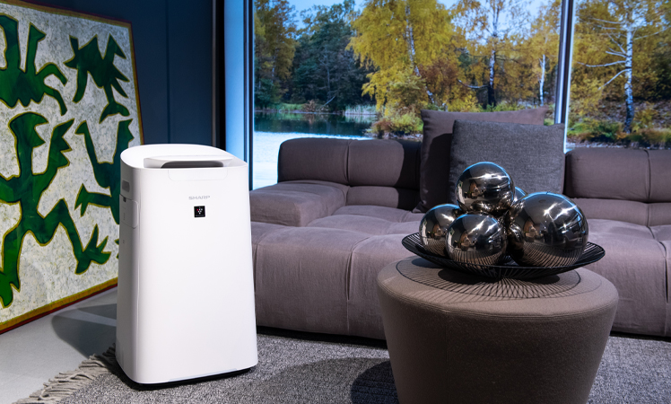 Sharp UA-KIL80E-W Luftreiniger
