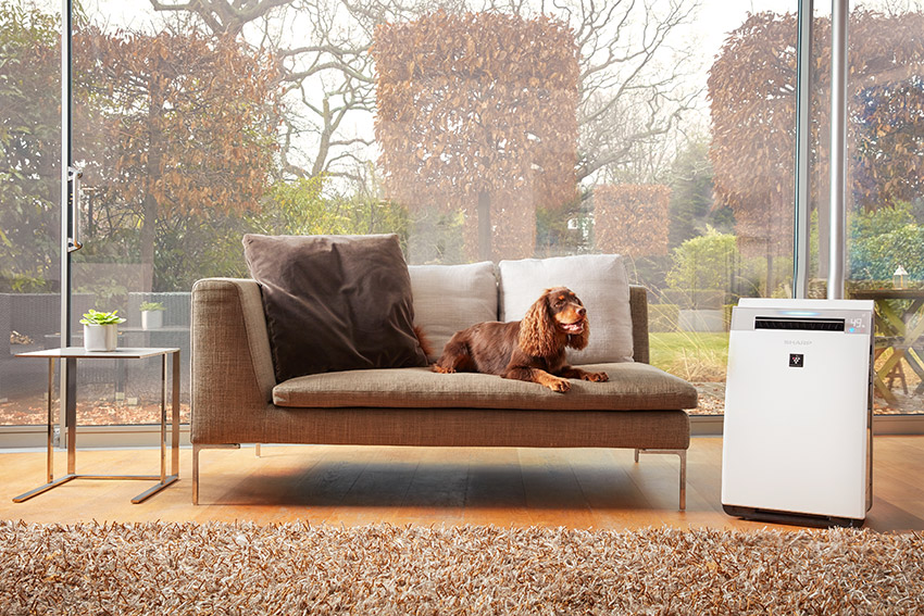 Luftreiniger Sharp KI-G75EUW