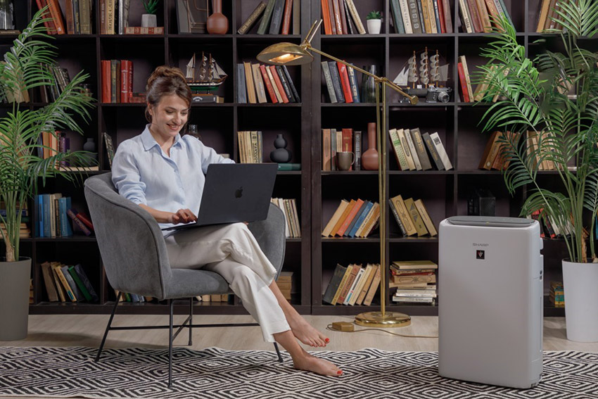 Luftreiniger Sharp KI-N52EU-L für Räume bis 38 m²