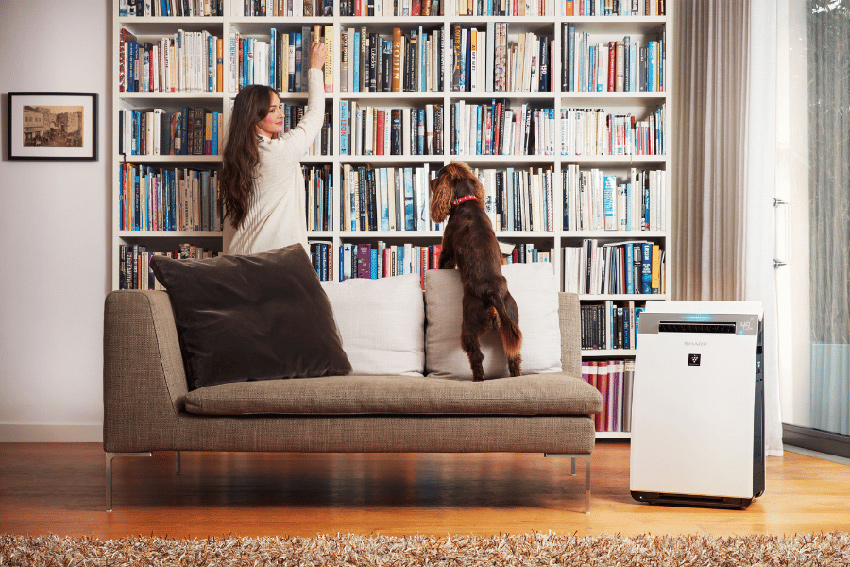 Luftreiniger Sharp KI-G75EUW