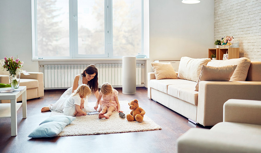 Luftreiniger LIFAair LA510