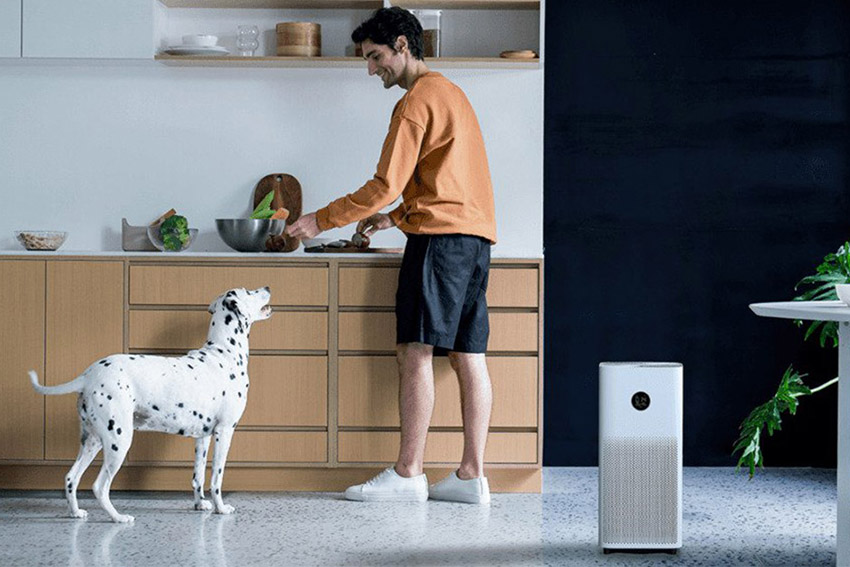 Xiaomi Smart Air Purifier 4 in Wohnumgebung
