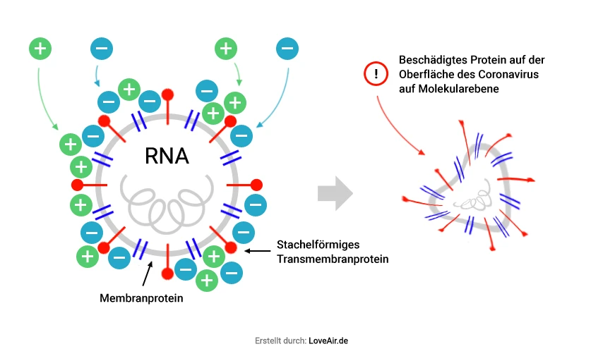 Deaktivierung von Coronaviren durch Plasmacluster-Technologie