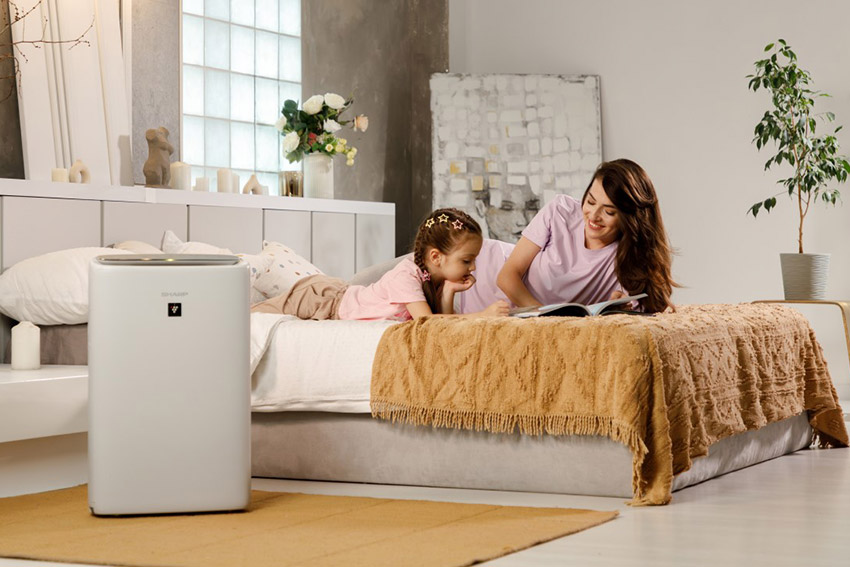 Luftreiniger Sharp KI-N52EU-L