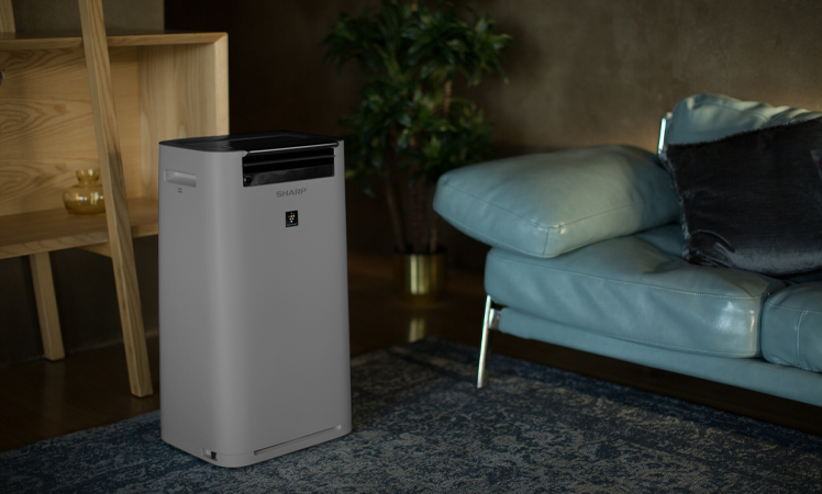 Luftreiniger mit Ionisierung Sharp UA-HG50E-L