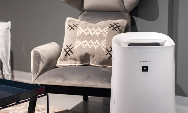 Luftreiniger mit Ionisation Sharp UA-KIL80E-W