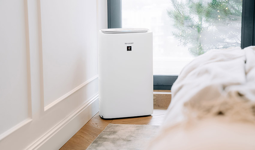 Luftreiniger fürs Zimmer – Einrichtungsidee