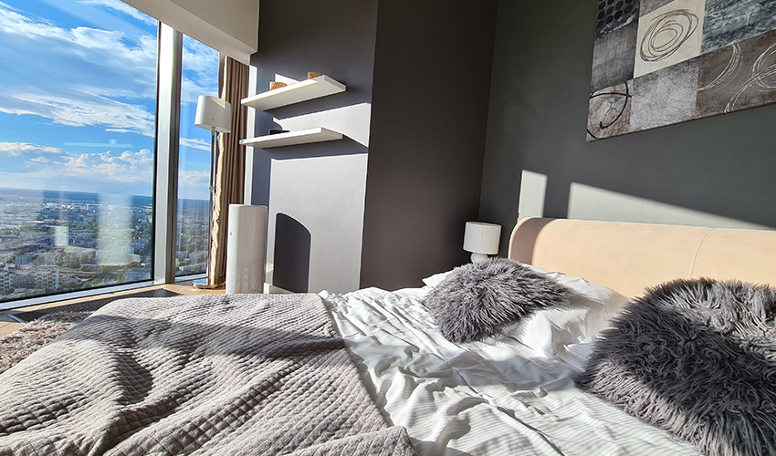 LIFAair Luftreiniger Arrangement