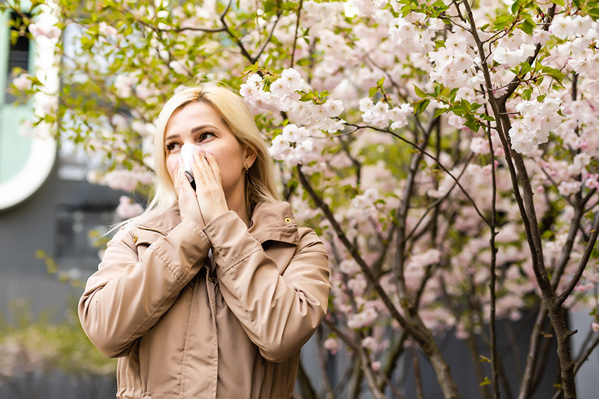 Allergien im Sommer
