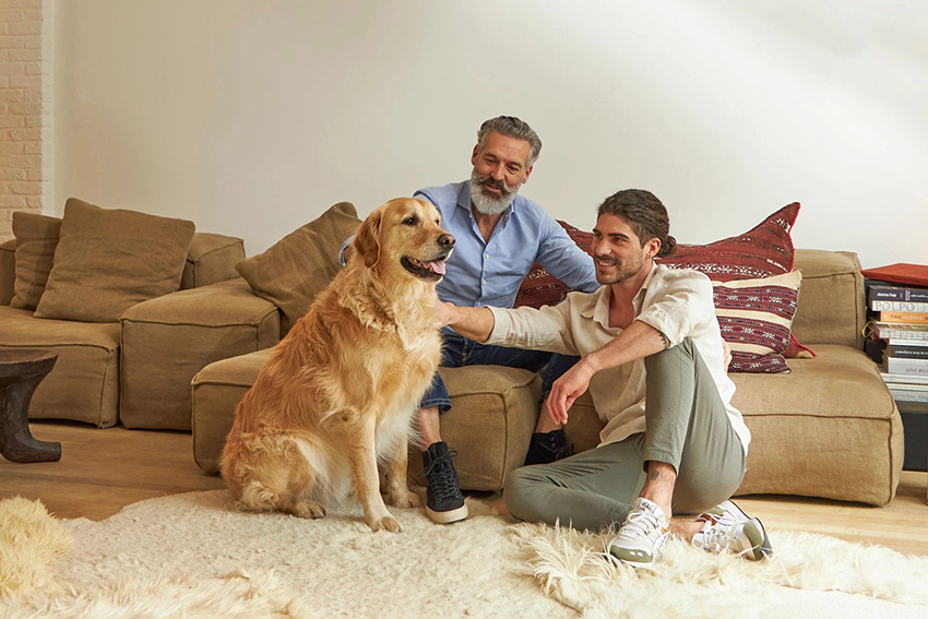 Luftreiniger Daikin MCK70ZW