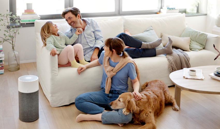 Luftreiniger Blueair Blue 3210