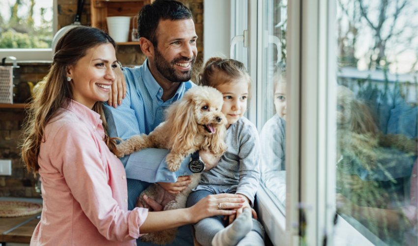 Sowohl zu hohe als auch zu niedrige Luftfeuchtigkeit ist für Haustiere schädlich