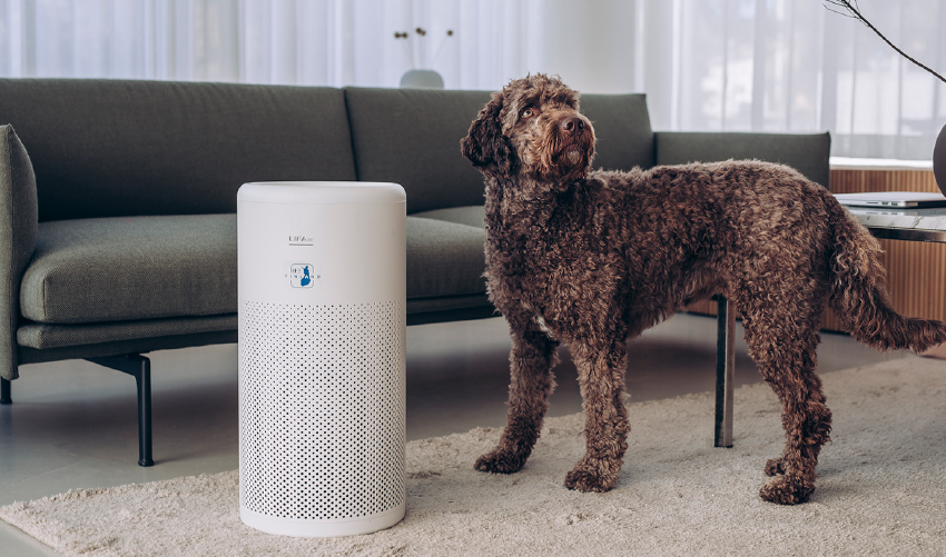 LIFAair LA350 Einrichtung