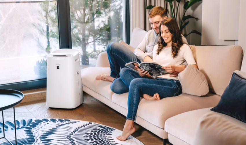 Luftreiniger helfen, sich vor Smog zu schützen