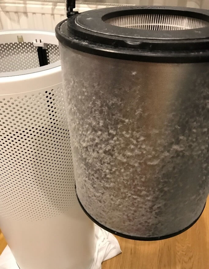 Staubablagerung auf einem Luftreinigerfilter