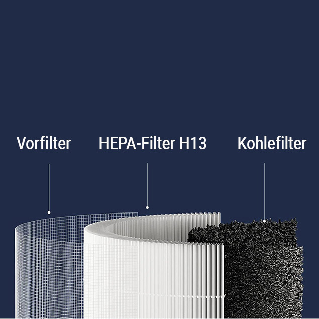 Xiaomi BHR5861 Querschnitt