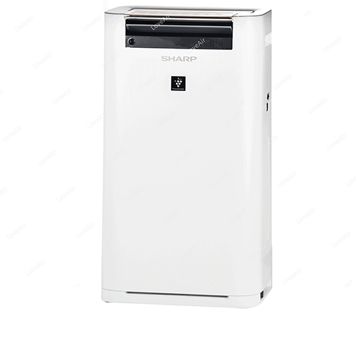 Sharp KC-G60EUW drehbares Bild