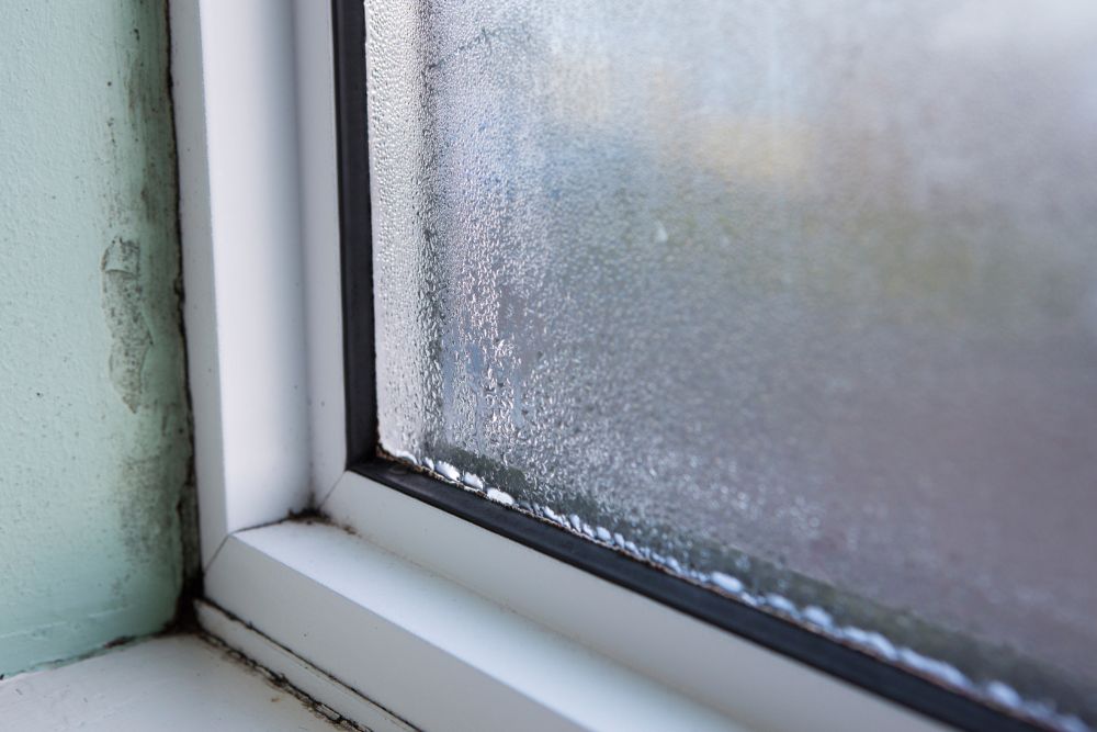 Zu hohe Luftfeuchtigkeit in der Wohnung