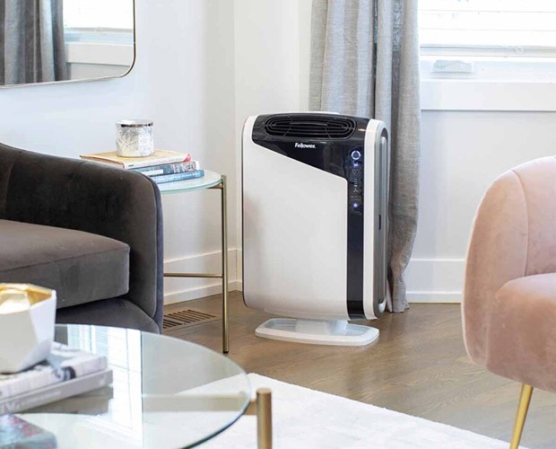 Raumdarstellung des Fellowes AeraMax DX5 Luftreinigers