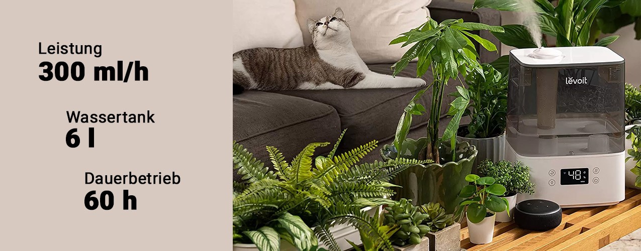 Funktionsweise des Luftbefeuchters Levoit Classic 300S