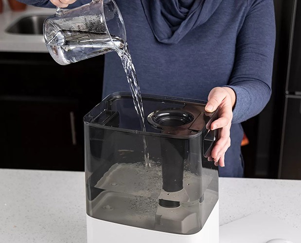 Befüllen des Wassertanks beim Levoit Classic 300S