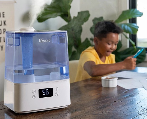 Luftbefeuchtung durch den Levoit Classic 300S