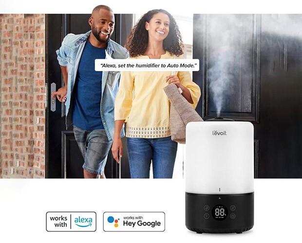 Sprachsteuerung für den Levoit Dual 200S