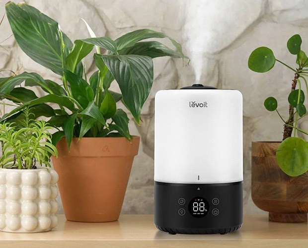 Rauminszenierung des Levoit Dual 200S Luftbefeuchters