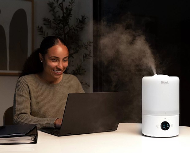 Funktionsweise des Luftbefeuchters Levoit Dual 200S