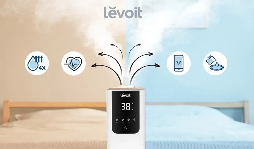 Levoit-Luftbefeuchter mit warmem und kaltem Nebel