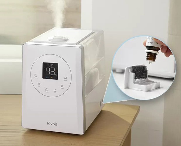 Aromafunktion beim Levoit LV600S