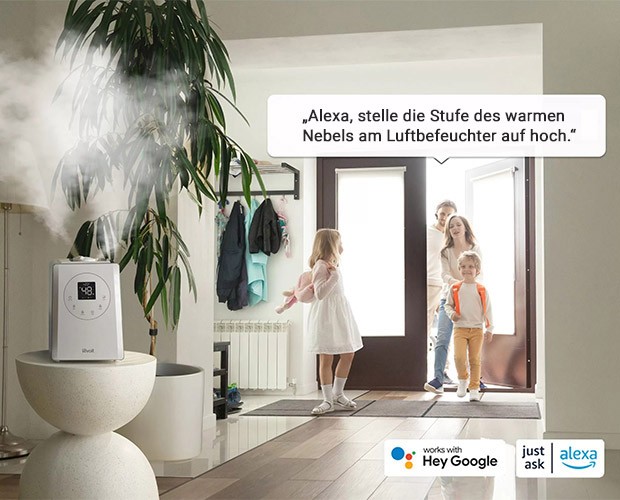 Sprachbefehle beim Levoit LV600S