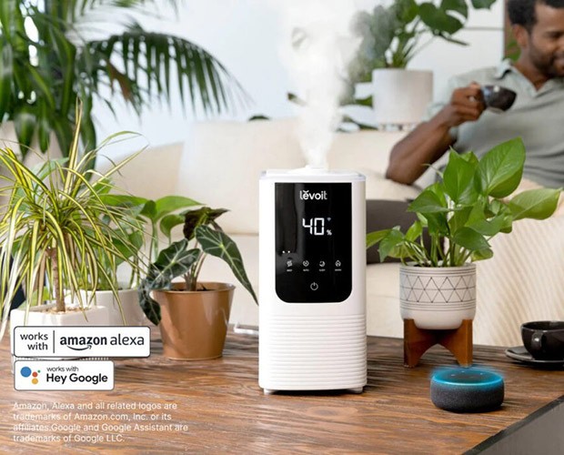 Platzierung des Luftbefeuchters Levoit OasisMist 450S
