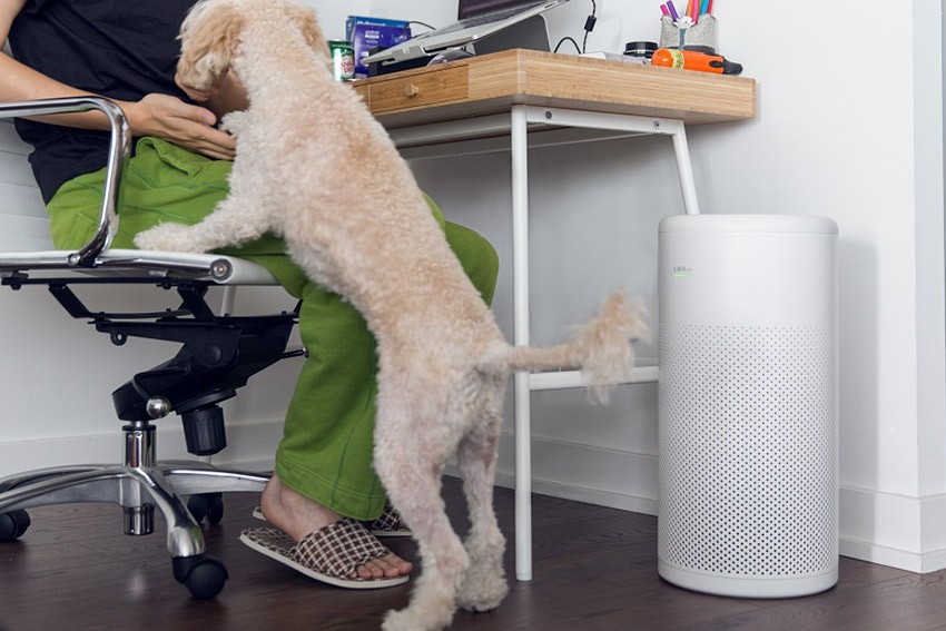 LIFAair LA333 Luftreiniger