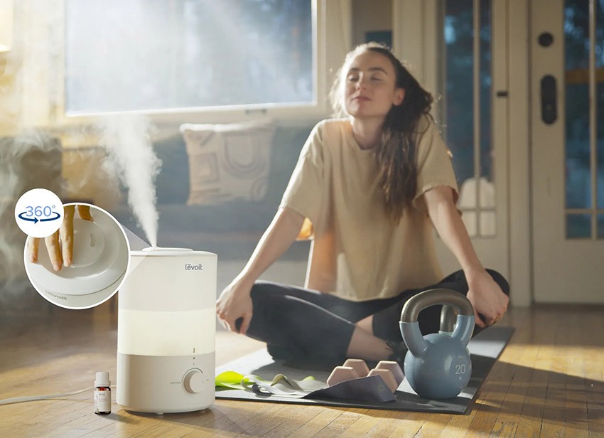 Anwendung der Aromatherapie mit einem Levoit-Luftbefeuchter