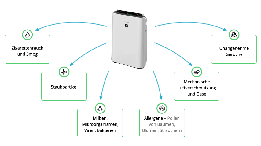Arten von Verunreinigungen