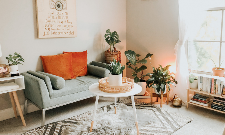 Optimale Luftfeuchtigkeit in der Wohnung