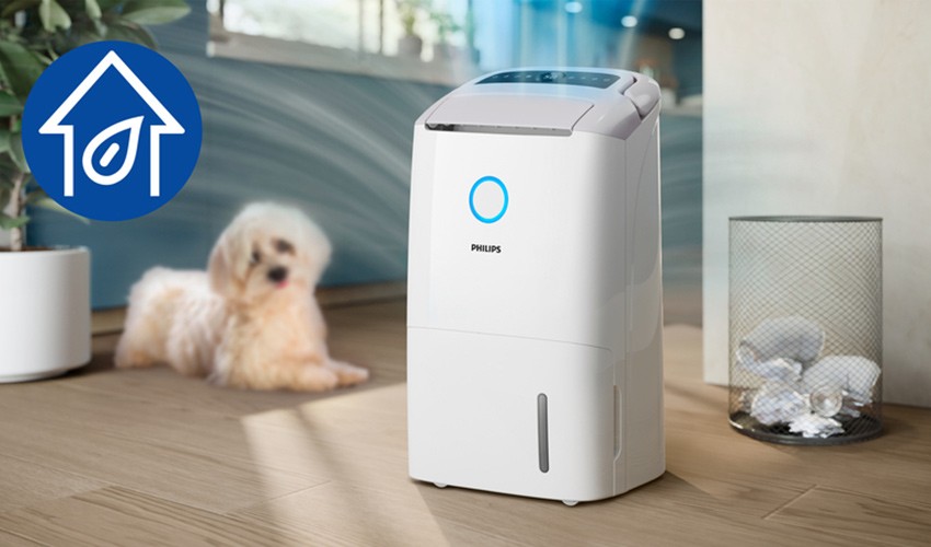 Luftreinigung durch den Philips DE5305/11