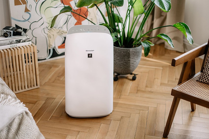 Sharp Luftreiniger UA-KCP100E-W – Nummer 1 im Ranking