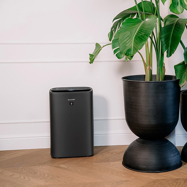 Sharp UA-KIN52E-H – Gestaltung im Wohnzimmer