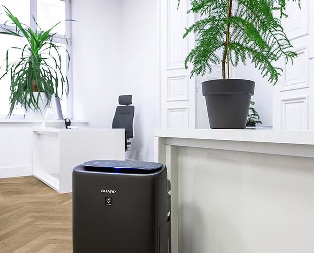 Sharp UA-KIN52E-H – Gestaltung im Büro