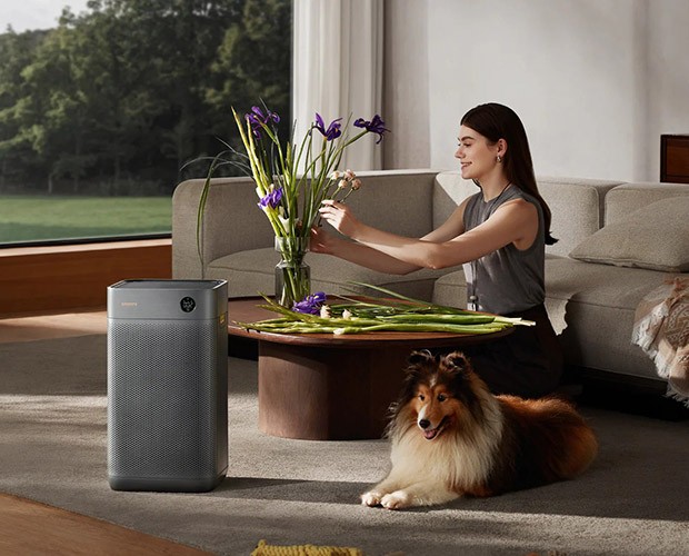 Entfernung von Tiergerüchen durch den Smartmi Air Purifier 3