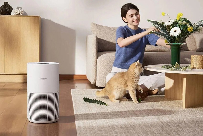 Xiaomi Smart Pet Care Air Purifier – Xiaomi Luftreiniger für Tierhalter