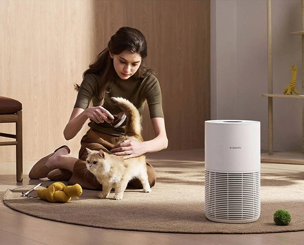Funktionsweise des Xiaomi Smart Pet Care Air Purifier