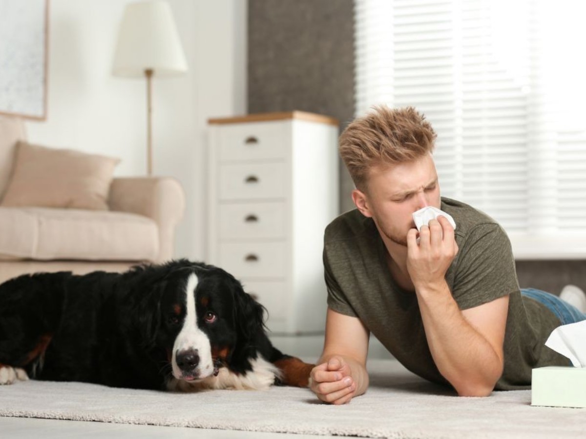 Mann, der unter einer Tierhaarallergie leidet