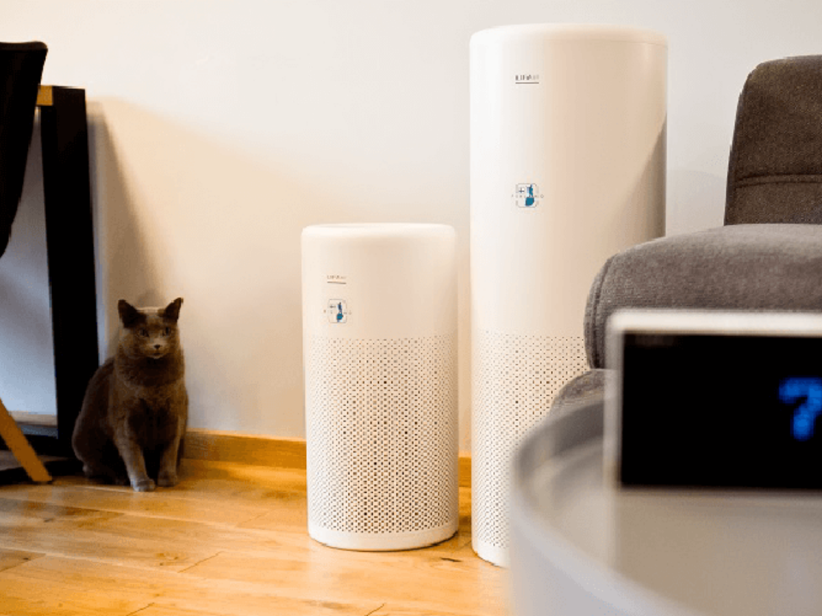 LIFAair Luftreiniger in einem Haushalt mit Katze
